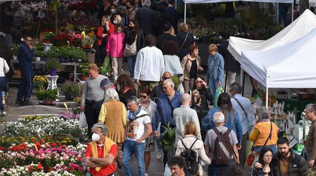 Torna Cattolica in fiore, attesi 90 vivaisti da tutta Italia - Cattolica in Fiore (edizione 2022)