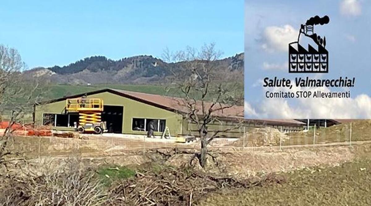 Fileni, comitato attacca Comune di San Leo: 'Non fanno nulla per fermare l'allevamento' - Cantiere Fileni