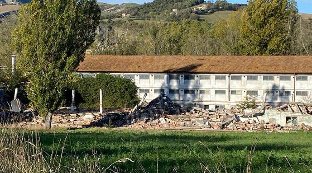 Allevamento Fileni, capannoni bonificati? Il Comitato per la Valmarecchia chiede gli atti al Sindaco - Immagine di repertorio