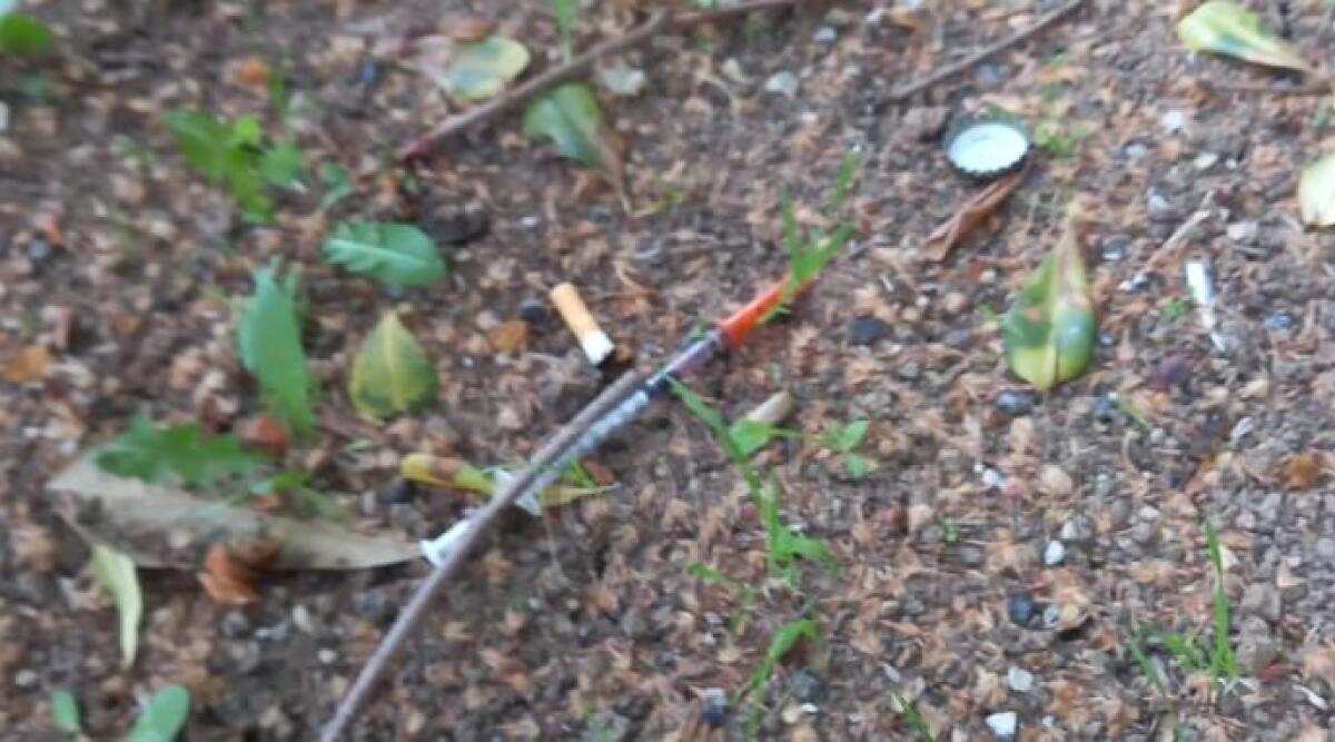 Siringhe abbandonate prima del sottopasso. La segnalazione - I rifiuti abbandonati