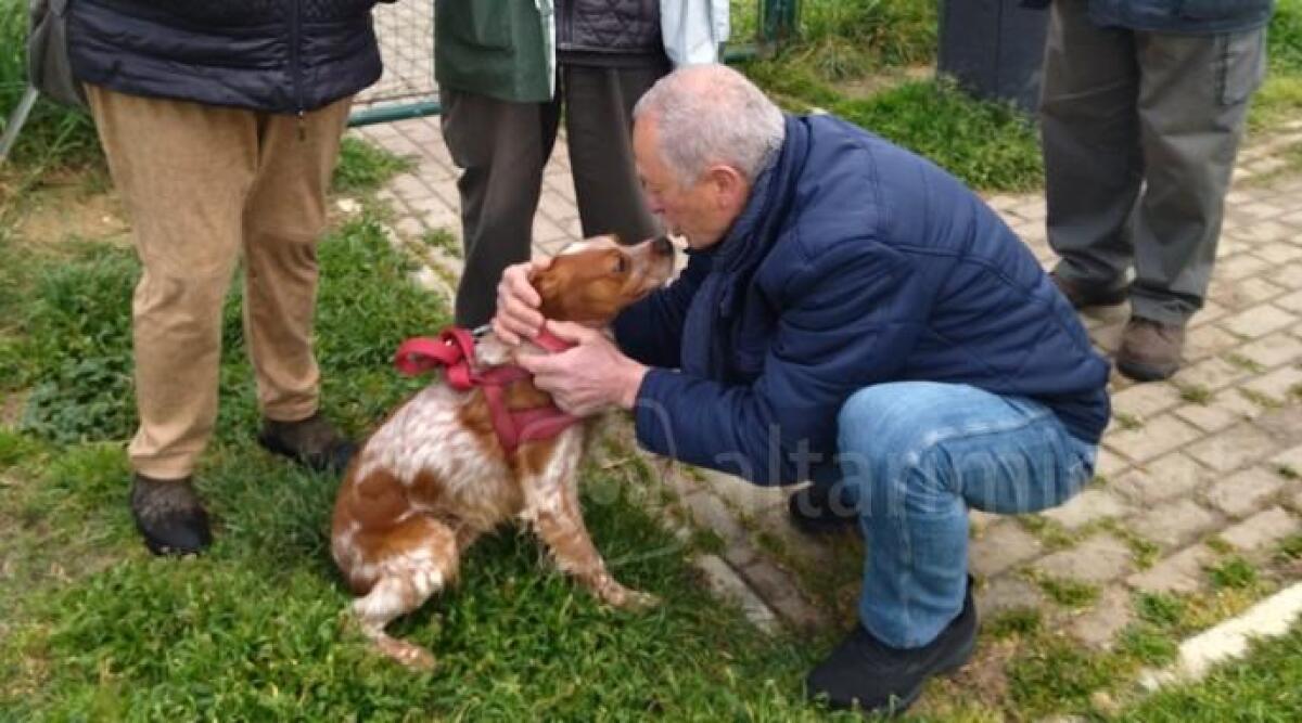 Tutela e cura dei cani, a Rimini proseguono gli incontri nelle aree di sgambamento - Un momento dell'incontro