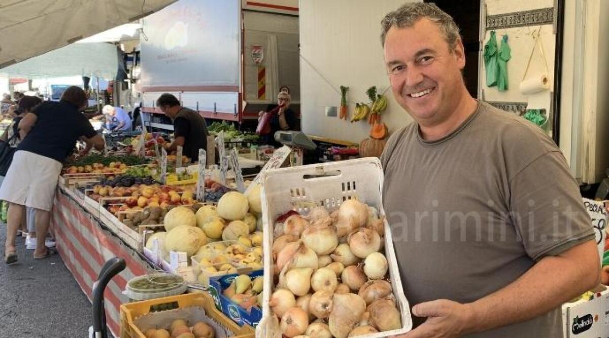 Cipolla dell'acqua, due imprese di Santarcangelo nell'apposito registro comunale - Immagine di repertorio