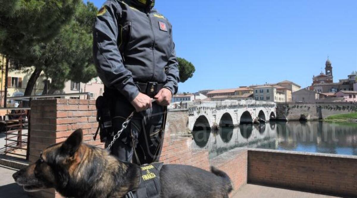 Rimini, nascosta nel sedile dell'auto droga per 3mila euro: arrestato - Arresto per droga sul lungomare