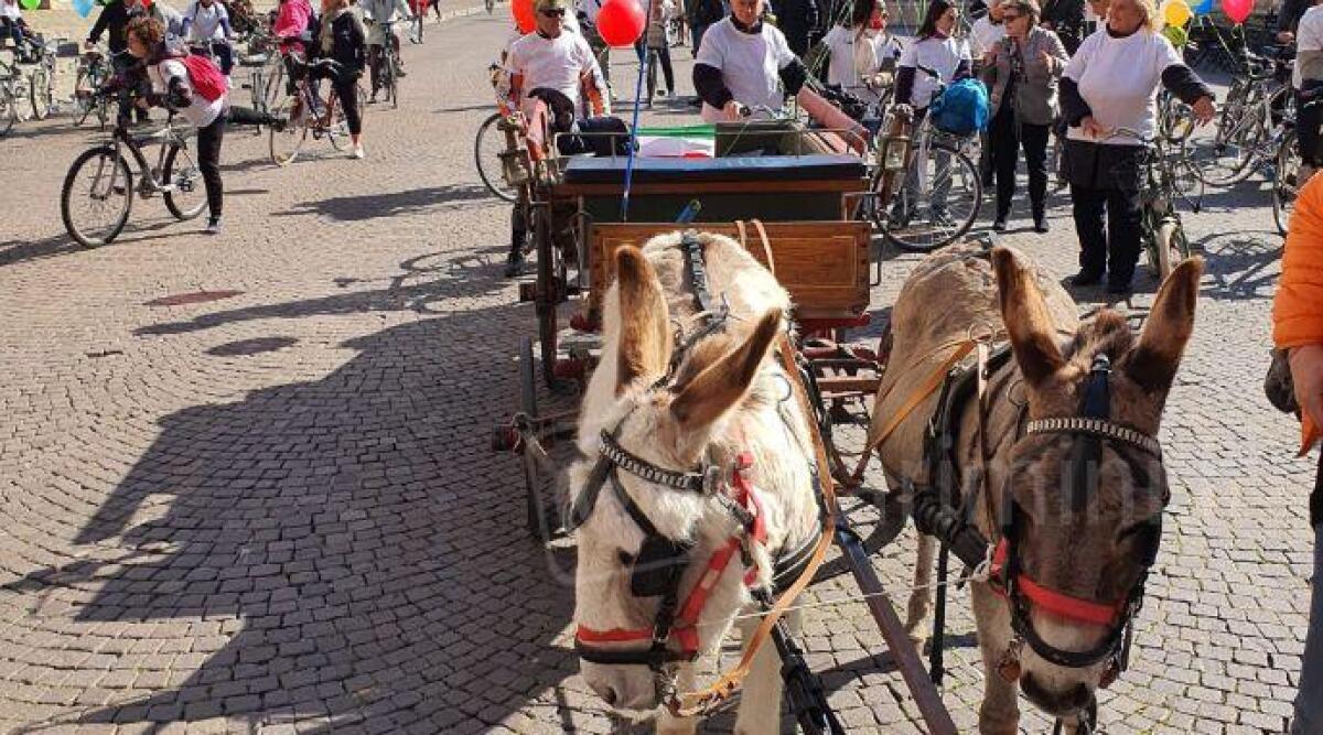 Pasqua a Rimini, hotel pieni gi&agrave; al 70%: tutti gli eventi delle feste - Somarlungo edizione 2022