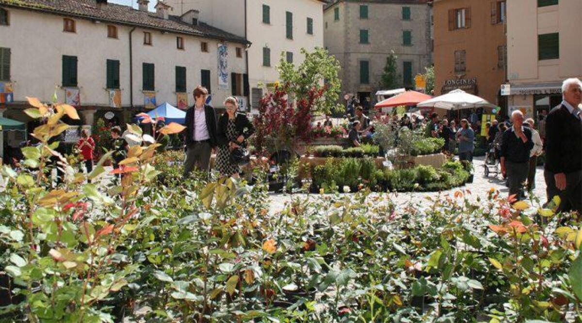 Mercato Verde, Pennabilli torna a sbocciare con una nuova edizione della fiera delle piante - Mercato Verde
