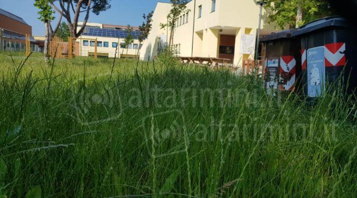 Erba alta nel giardino scolastico, reazioni allergiche per gli alunni. La segnalazione - Il giardino della scuola