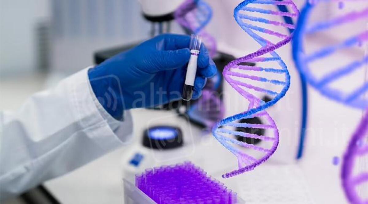 Rapina a sala slot risolta dopo 10 anni: Dna collega imputato all'episodio - Le prove di Dna collegano imputato al crimine