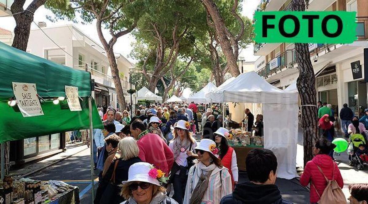 Cattolica in Fiore 2023: ecco i vincitori della mostra mercato - Foto Ballante