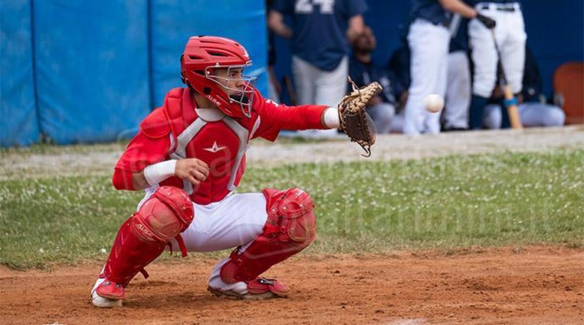 Baseball: Mediolanum New Rimini vince ancora, doppio ko per Porto Sant'Elpidio - Tommaso Signorile