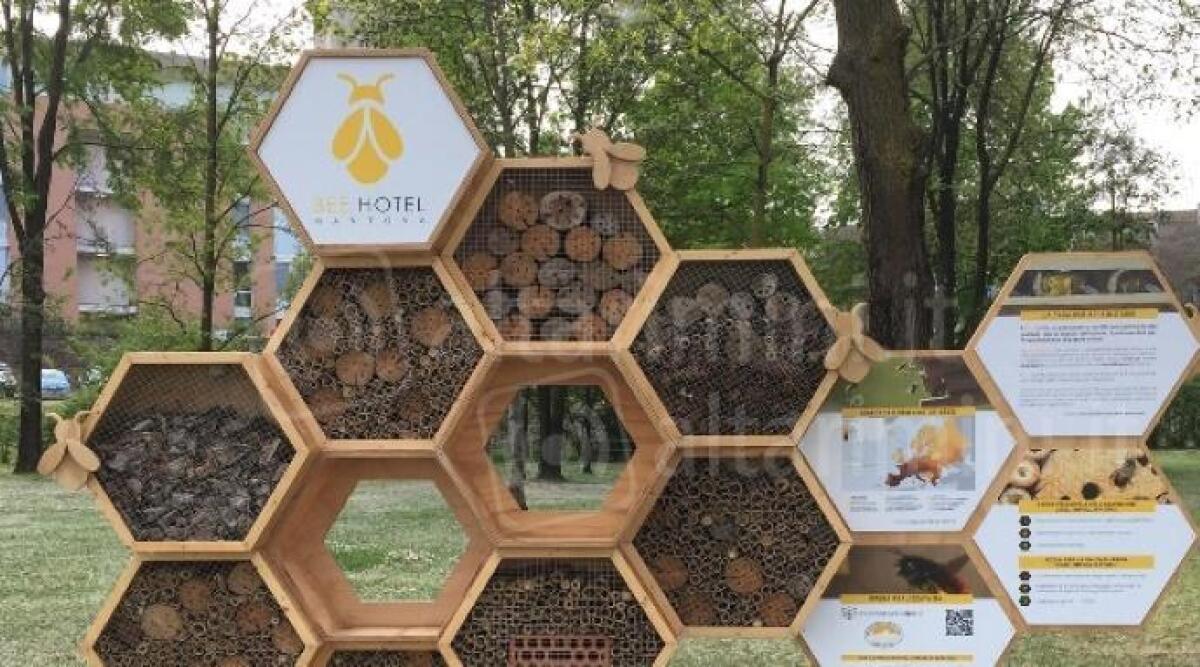 Riccione, rinviata l'inaugurazione del Bee hotel, le case per api solitarie - Bee Hotel per le api solitarie