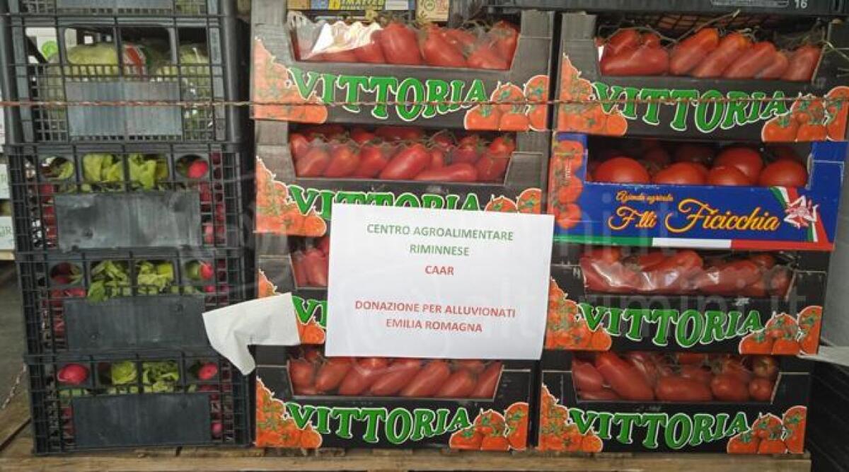 Rimini, riunione al Caar: 'Dopo alluvione, dall'Estero manovre di speculazione su frutta e verdura' - Frutta e verdure donate dal Caar