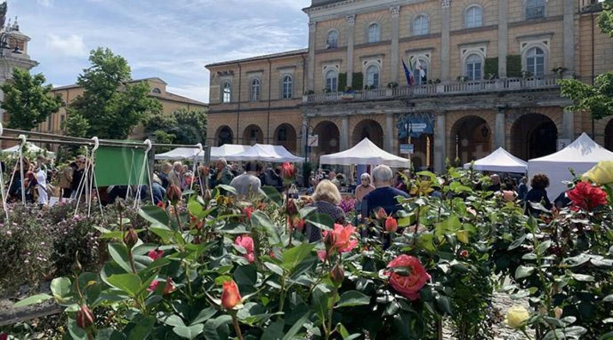Balconi Fioriti, il maltempo non ferma Santarcangelo. Sindaca: 'Partecipazione oltre le attese' - Balconi Fioriti 2023