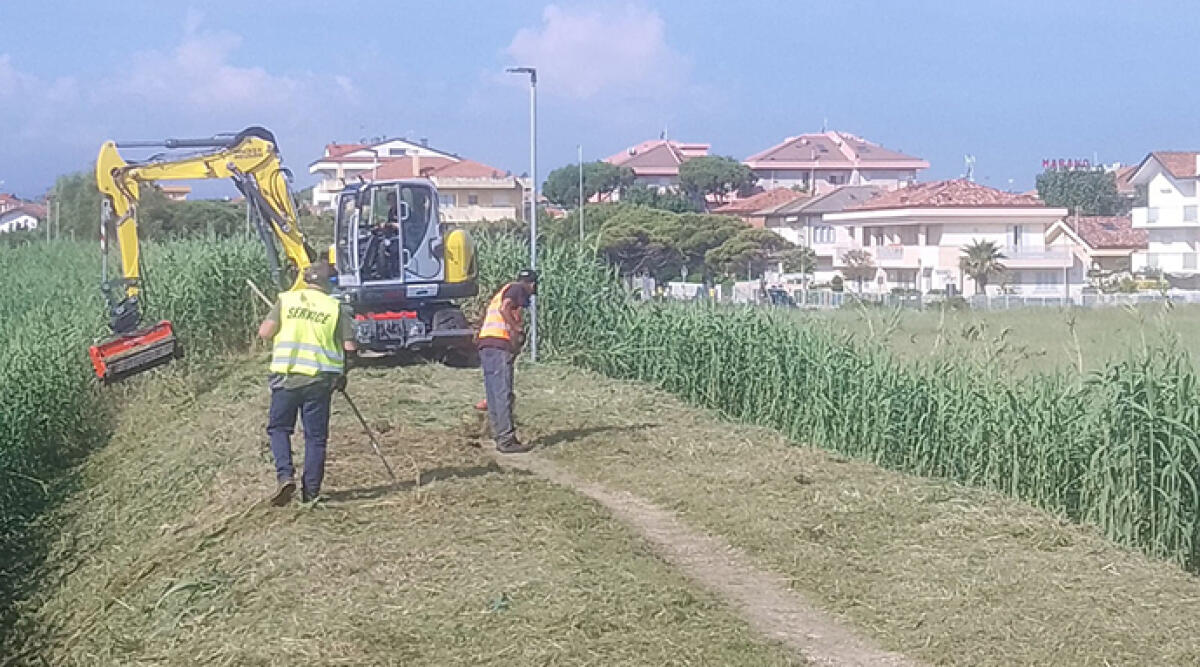 Riccione, erba alta e ritardi causati dal maltempo: Geat potenzia il servizio di pulizia del verde - Sfalcio erba in parchi e aree verdi e pulizia argini, Geat Riccione