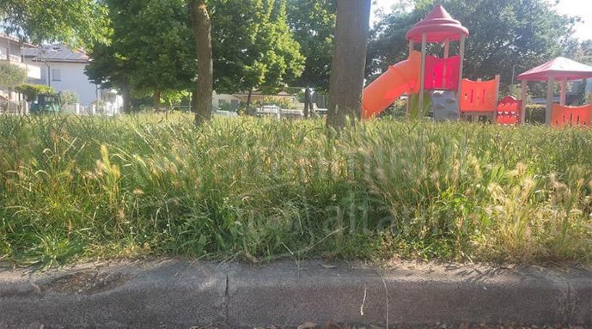 Segnalazione del lettore: 'Parco di via Casanova a San Vito sommerso dall'erba' - Foto del lettore