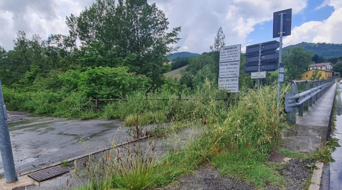 Novafeltria, situazione di incuria a Ponte Baffoni: la segnalazione - Una delle foto della segnalazione