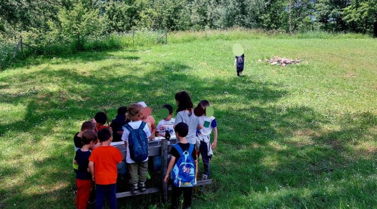 In campeggio i piccolissimi della scuola per l'infanzia di Rimini - Bambini in campeggio