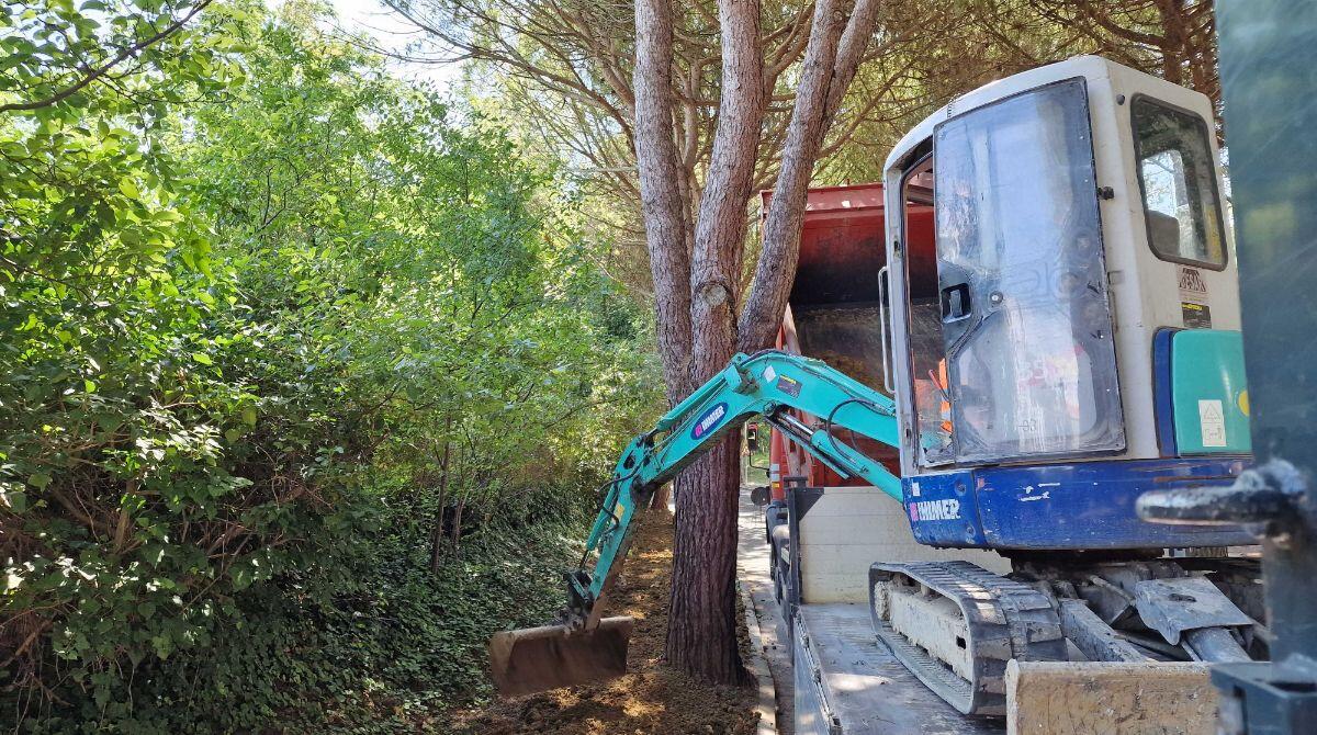Riccione, ripristinata l'aiuola in viale Limentani - Lavori in viale Limentani a Riccione