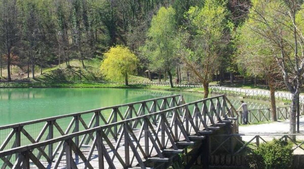 Proseguono i "Microcosmi" tanti appuntamenti al Parco Sasso Simone e Simoncello -