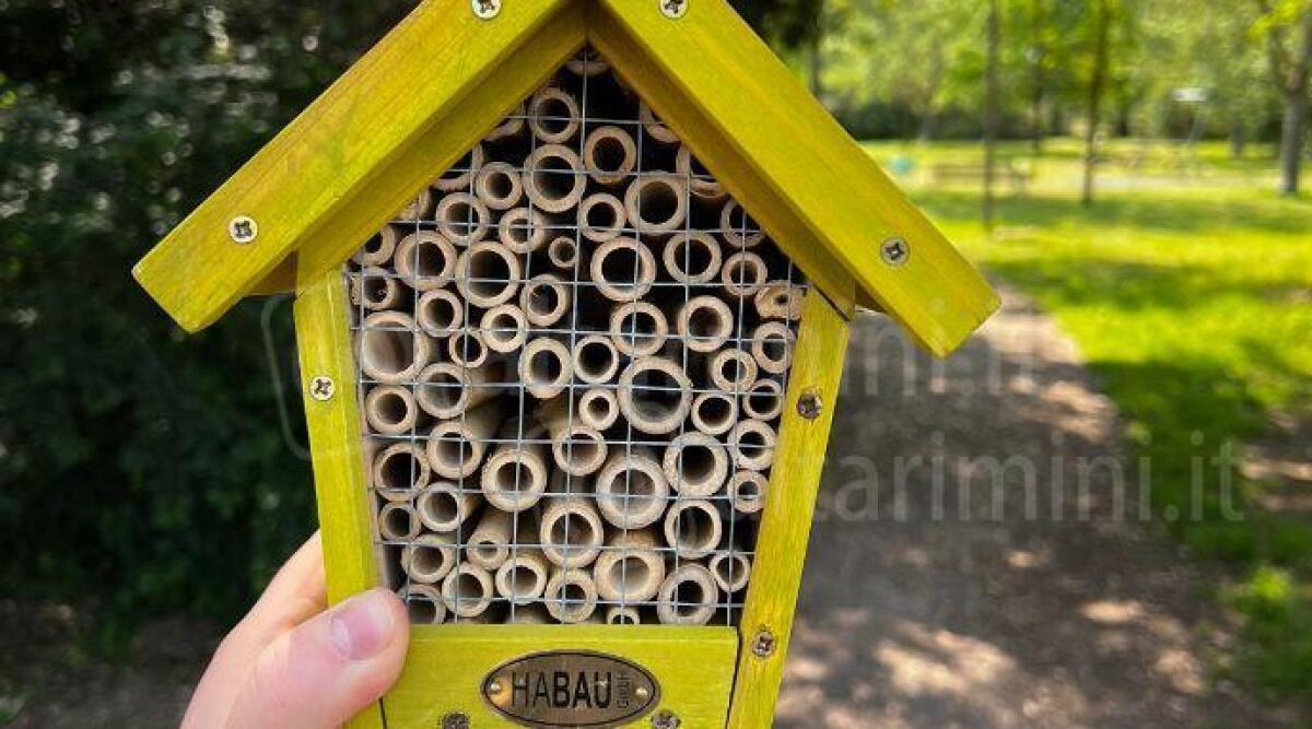 Quattro Bee Hotel a Bellaria per la Giornata Mondiale dell'ambiente - Bee Hotel