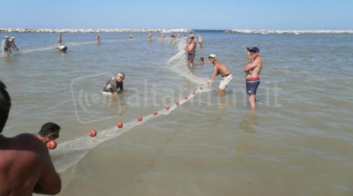 Le tradizioni marinare di Rimini rivivono in spiaggia con la rievocazione della pesca alla tratta - La tradizionale pesca alla tratta