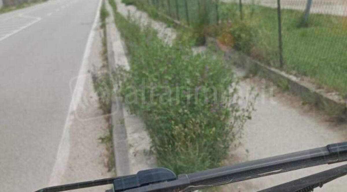 Erba alta sulla ciclabile. La segnalazione - 