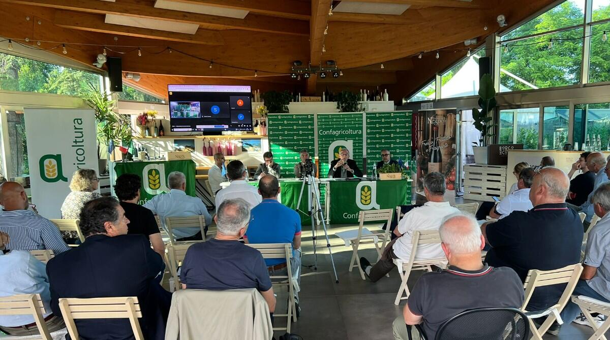 Maltempo: eredità difficile per il settore primario. Confagricoltura: "Servono misure veloci" - Assemblea di Confagricoltura Forlì-Cesena e Rimini, 12 giugno 2023