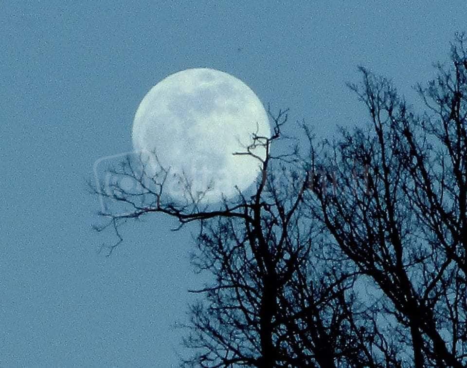 Primo Posto: “Anche la luna ha bisogno di riposo” Franca Ciccioni