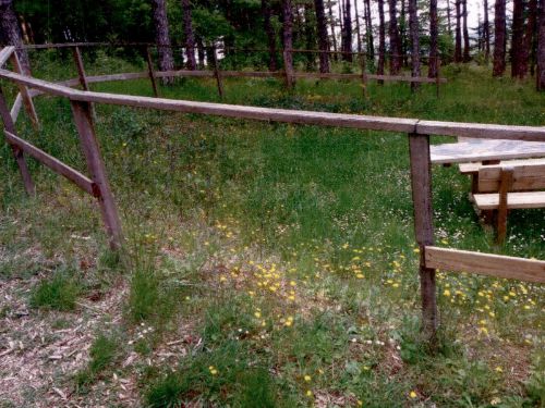 La staccionata vandalizzata