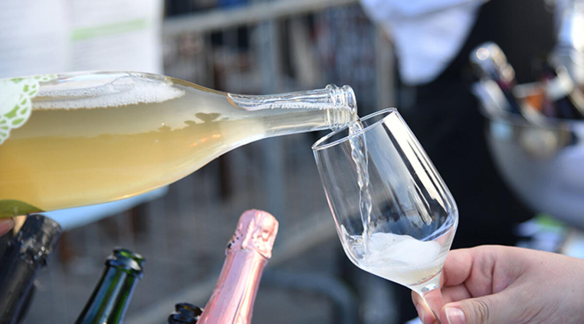 A Cesena ‘Eccellenze Divine’ - Vino degustazione