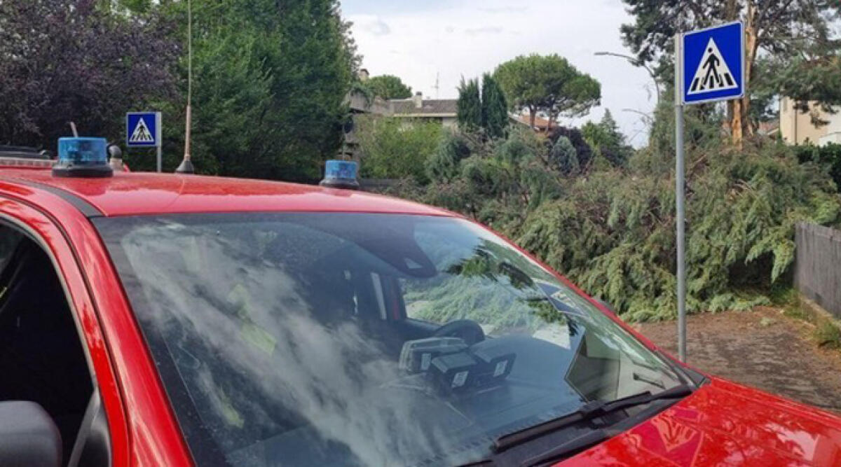 Emergenze estive nel ravennate: danni e paura per il vento  - Ravenna colpita dal garbino: danni e interruzioni dei servizi