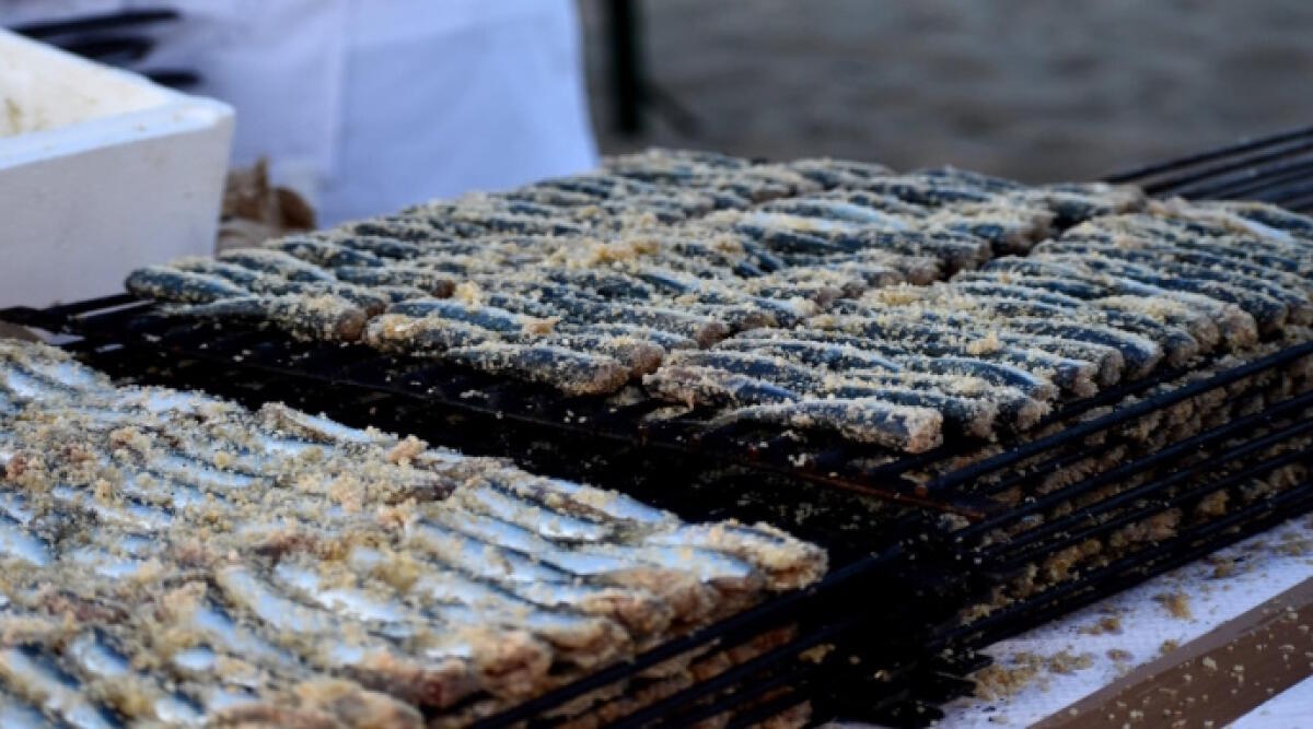 Cattolica, torna dopo quattro anni di assenza la “Grande Rustida” del pesce azzurro - Tradizionale Rustida a Cattolica