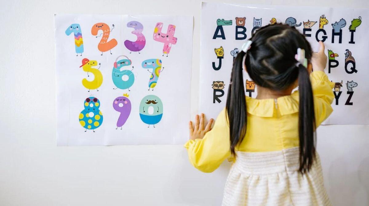 A Rimini cresce l'investimento per l'inclusione scolastica: 411 alunni disabili seguiti nel 2023. Arriva l'educatore di plesso - Immagine di repertorio