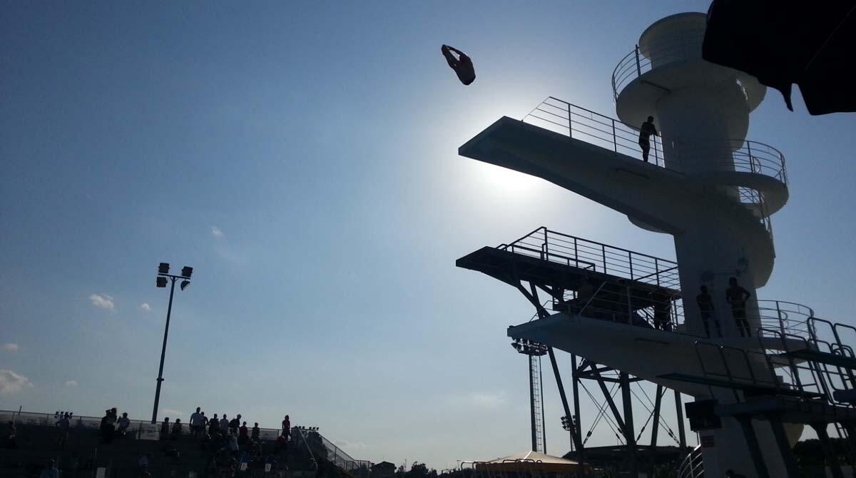 Campionati Italiani Tuffi Esordienti: a Riccione attese 20 società da tutto lo Stivale - Trampolino dello Stadio del Nuoto di Riccione ARCHIVIO