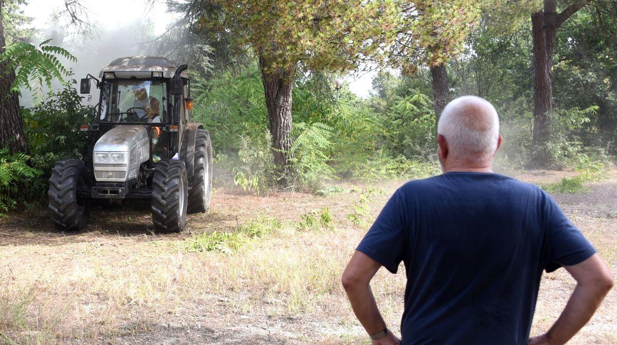 Ex discoteca Paradiso, iniziati i lavori nel giardino del mitico locale a Covignano - Rimini 20-07-2023 - Inizio sfalcio pulizia esterni ex discoteca Paradiso.   Manuel Migliorini / Adriapress.