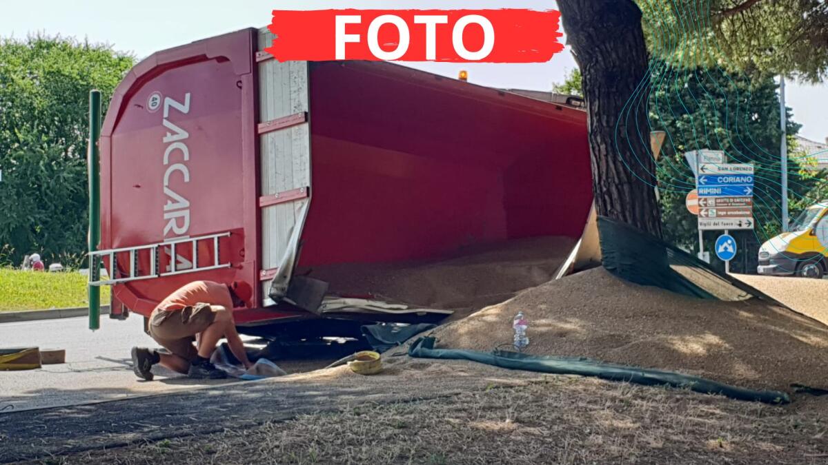 Riccione: rimorchio si ribalta in rotonda. Semi di grano sparsi sul parco adiacente la strada, traffico deviato - Il rimorchio ribaltato nella rotonda "Le Vele" di Riccione