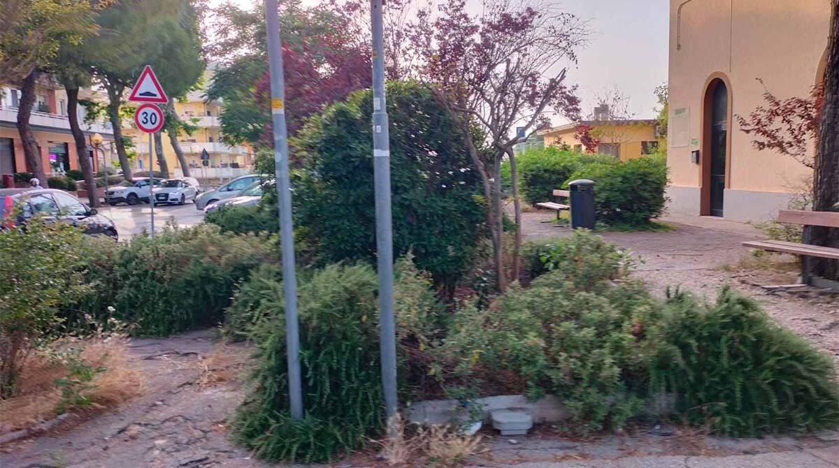 Degrado alla stazione ferroviaria di Viserba: "erbacce, rifiuti, senso di abbandono e immagine indecorosa per residenti e turisti" - Erba alta in zona stazione di Viserba