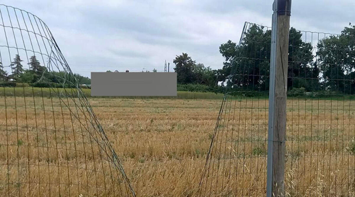 Malviventi colpiscono Santarcangelo: Consigliere Dolci sollecita interventi sulla sicurezza - 