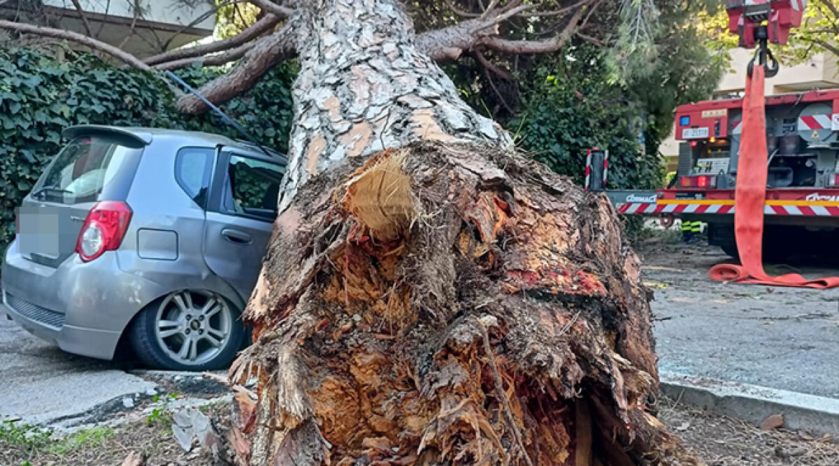 Forti raffiche: inferno di vento e pioggia colpisce la costa cervese - Temporale devastante a Milano Marittima: danni ingenti in soli 5 minuti