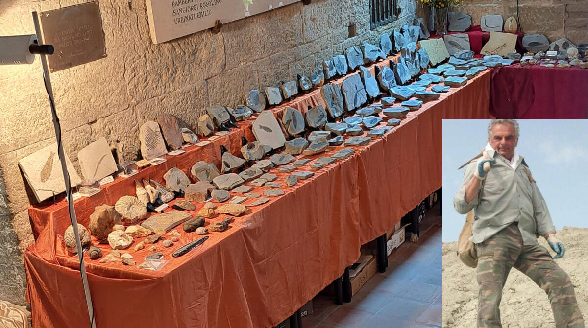 Paolo Giordani e i "suoi" tesori del Montefeltro: 50 anni di passione per la ricerca di fossili e minerali in mostra a Novafeltria - Mostra di Paolo Giordani (nel riquadro) presso la Chiesa di Santa Marina, Novafeltria