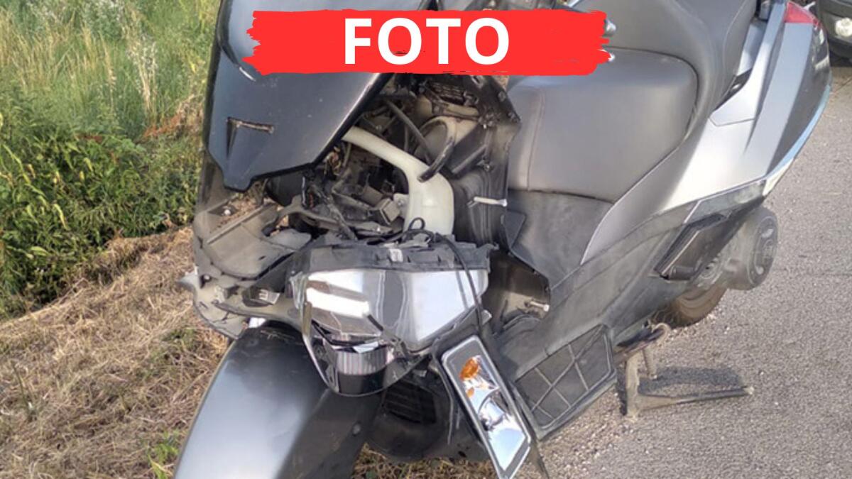 Incidente tra uno scooter e un capriolo sulla via Emilia, ferito un ragazzo - Scontro scooter capriolo. Ferito un ragazzo