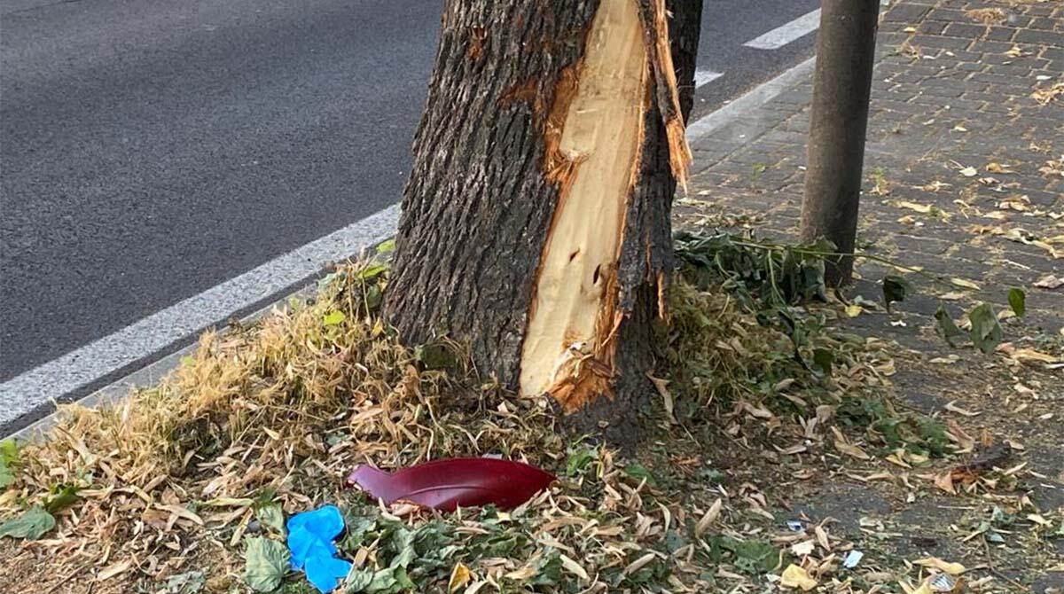 Tragico incidente nella notte a Novafeltria: in scooter sbatte contro un albero, perde la vita a soli 55 anni - L'albero punto dell'impatto