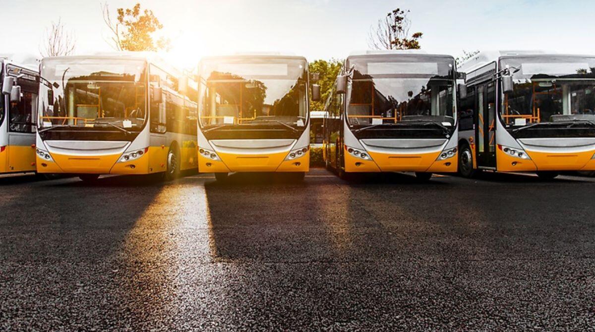 Autobus, a Rimini boom di immatricolazioni (+ 293%) nel 2022 -