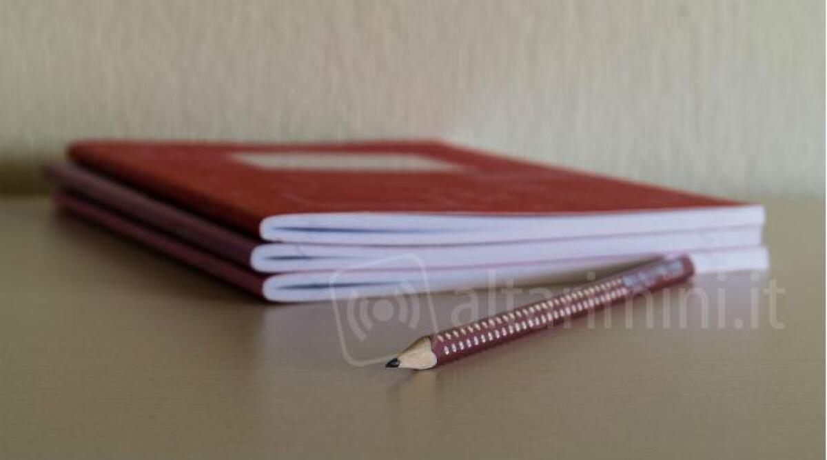 Scuola riminese nel progetto di formazione europeo "S-team" per ragazze -