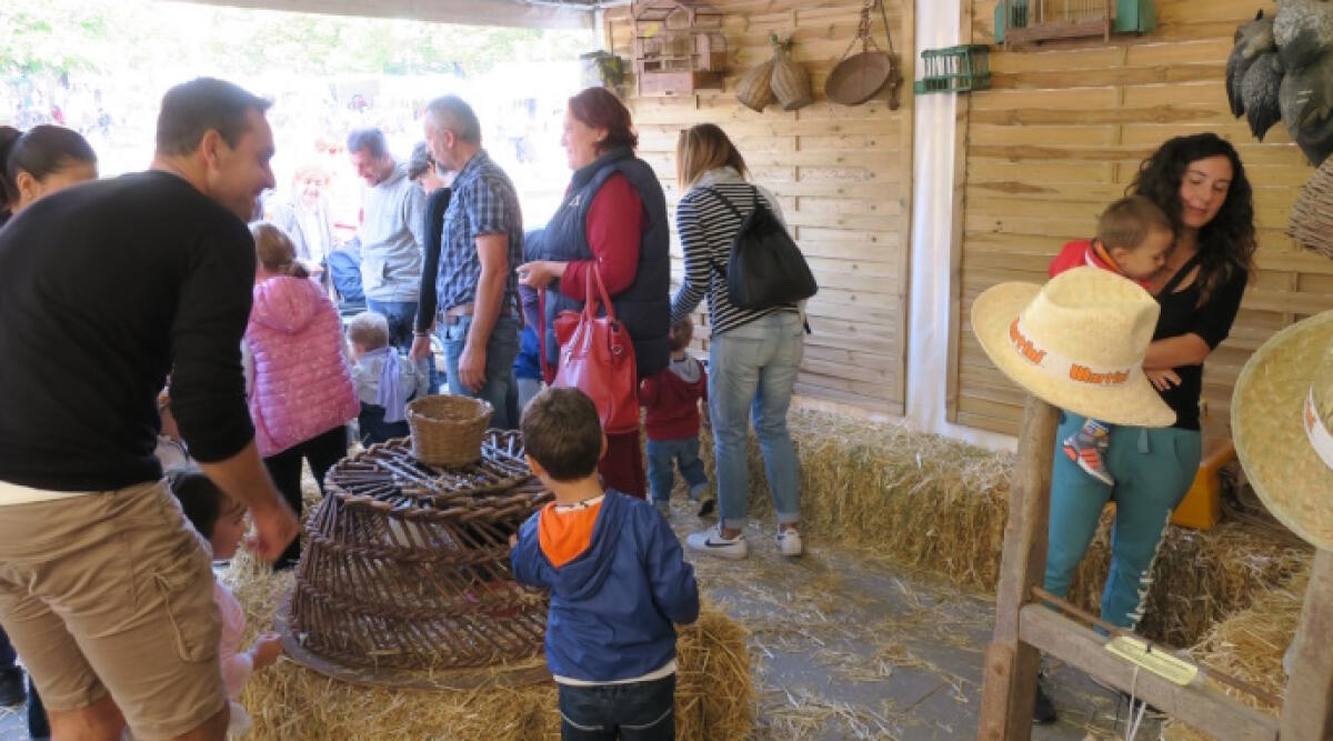 Un mese alla Fiera di San Michele 2023: tante le iniziative collaterali - Fiera di San Michele (Repertorio)
