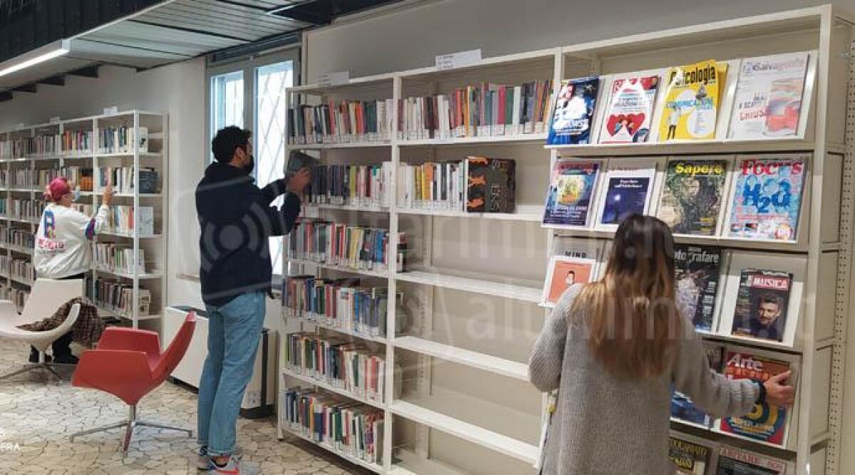 Servizio Civile Digitale: si cercano volontari alla Biblioteca Gambalunga - Biblioteca Gambalunga