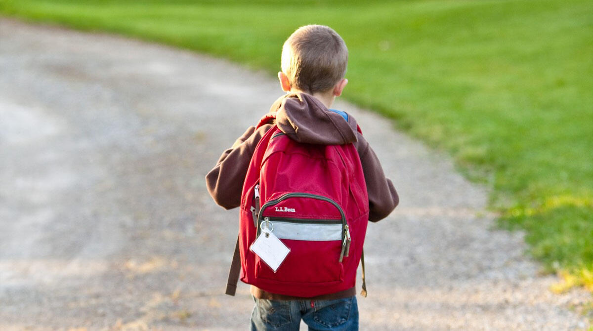 Scuola senza zaino: Rimini ripropone l'innovativo metodo didattico in tre primarie - REPERTORIO