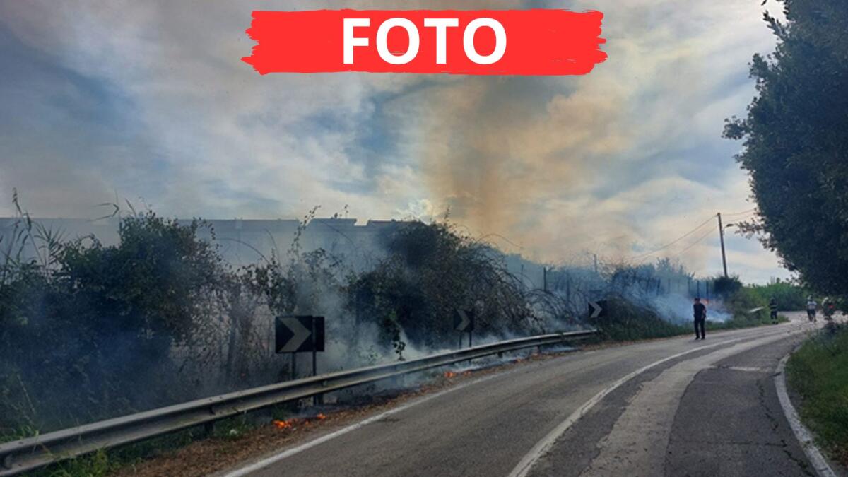 Torre Pedrera, incendio assedia palazzine. Donna ferita durante l'emergenza fiamme - L'incendio di sterpaglie