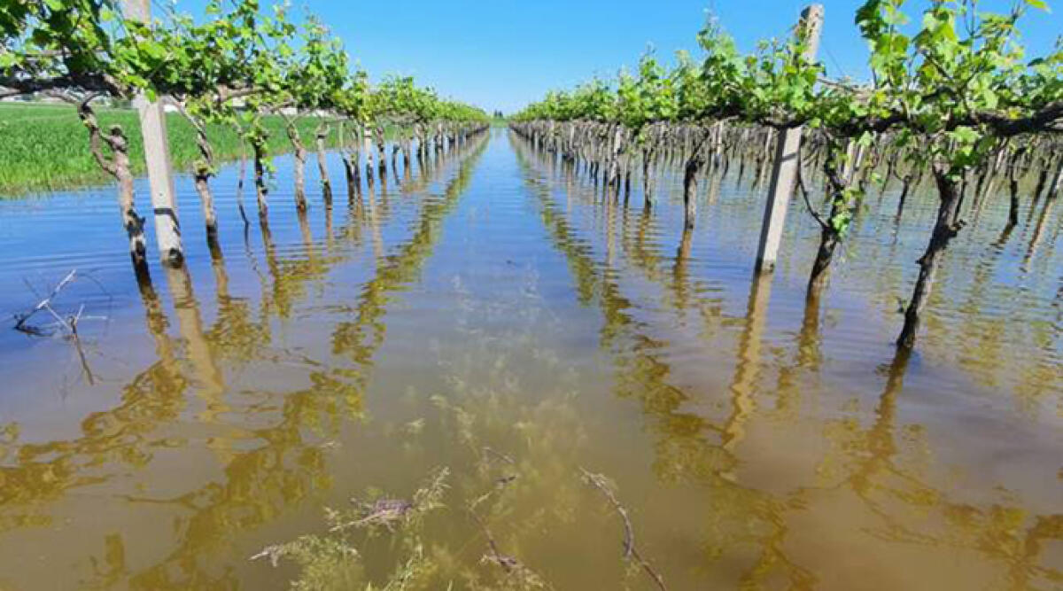 Alluvione: 31 imprese ricevono il contributo da 2.500 euro: una prima fase di aiuto - Archivio