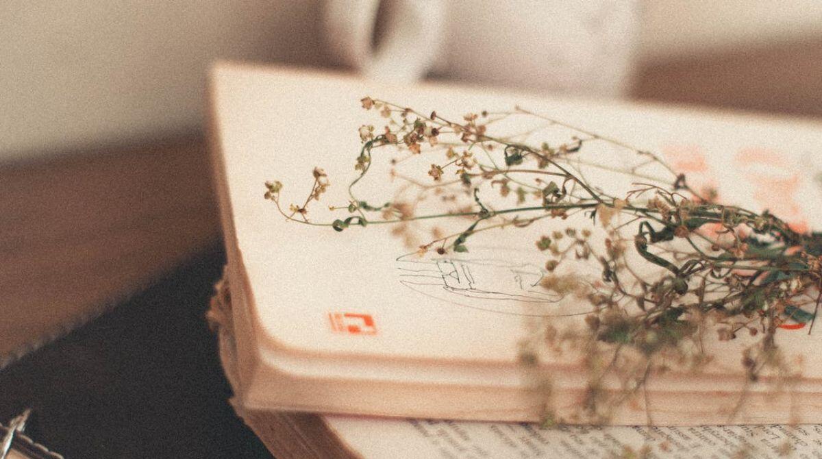 Coltivare le passioni e la poesia, torna il Cantiere Poetico per Santarcangelo -
