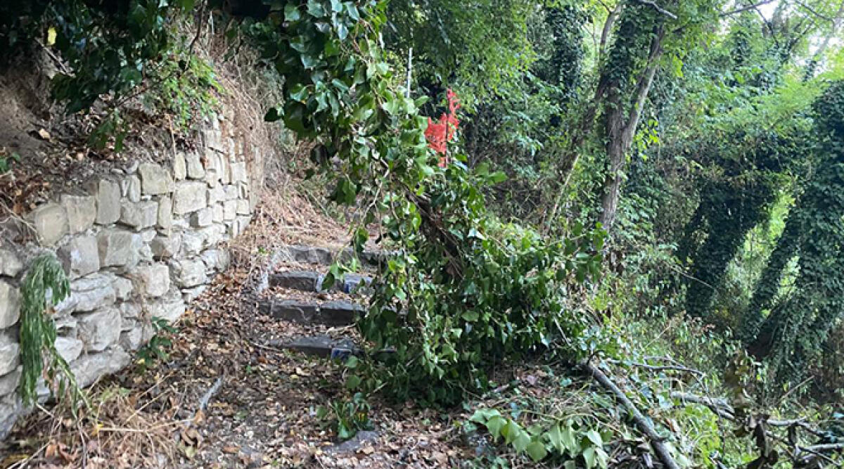 Penoso stato delle scalette nel Borgo di Talamello - Le scalette di Talamello invasate dalla vegetazione